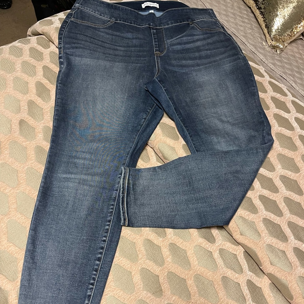 Lane Bryant Pull On Jegging